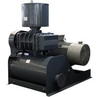 Воздуходувка роторная промышленная ERSTEVAK ERB-65V
